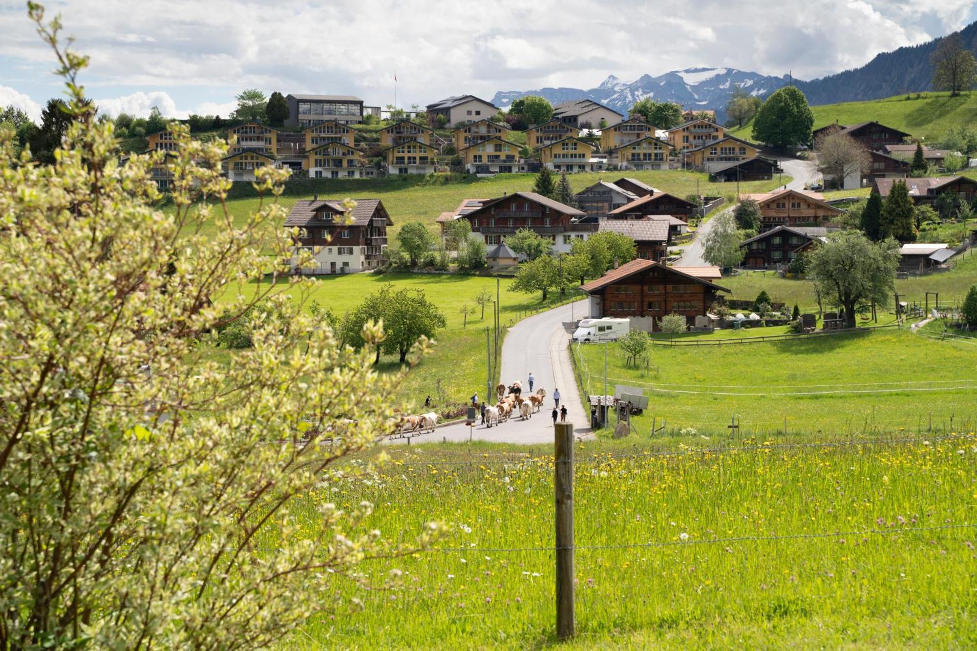 Hotel Chalet Bergblick Aeschi Bei Spiez Exterior foto